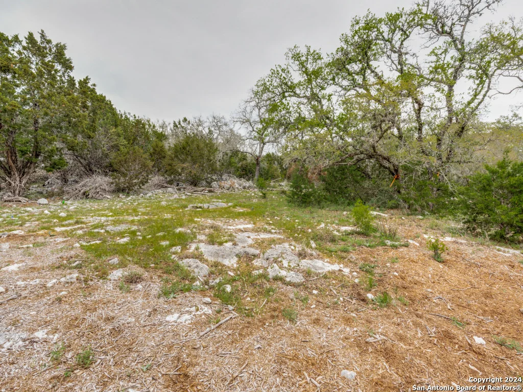 Photo of 192 MACAW LN