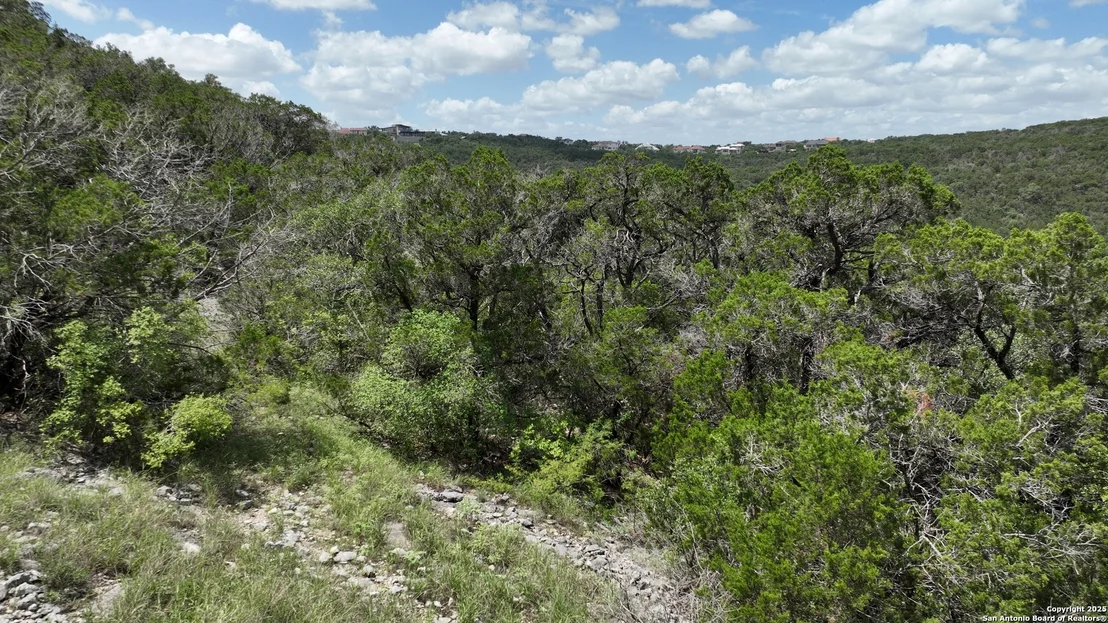 Photo of 15323 Escarpment Oak