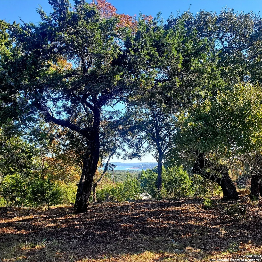 Photo of 152 mountainview
