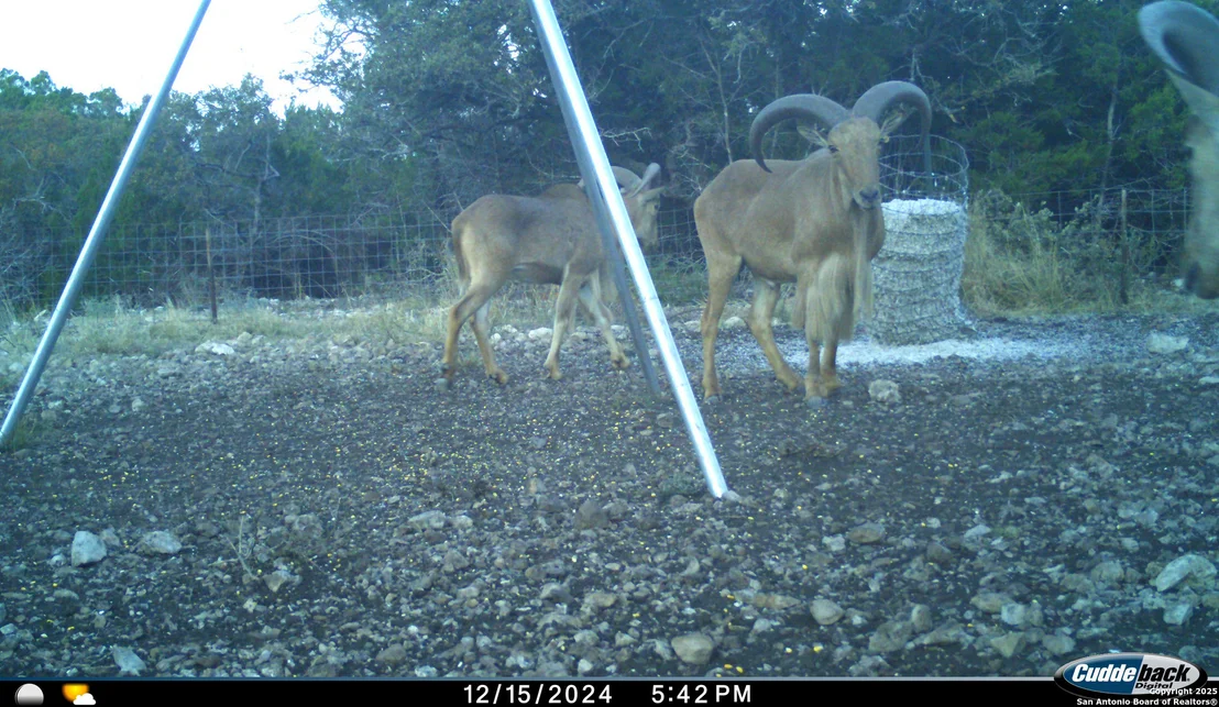 Photo of TBD Mailtrail Rd