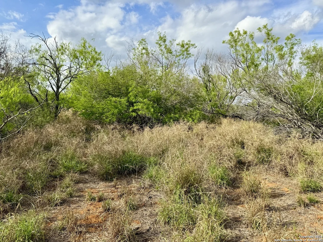 Photo of 0 Carrol Road