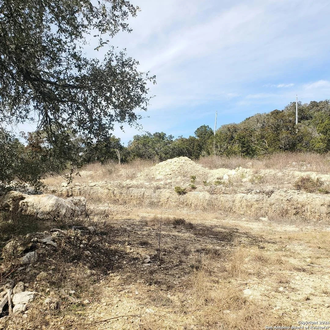 Photo of 14465 CHINQUAPIN