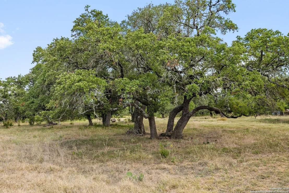 Photo of 6610 highway 290