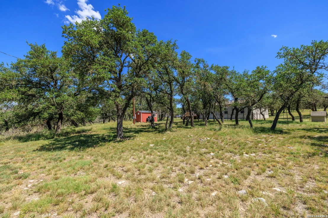 Photo of 429 Spanish Oak