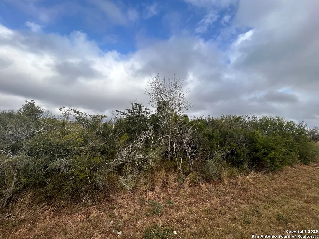 Photo of TBD Hackberry Dr.