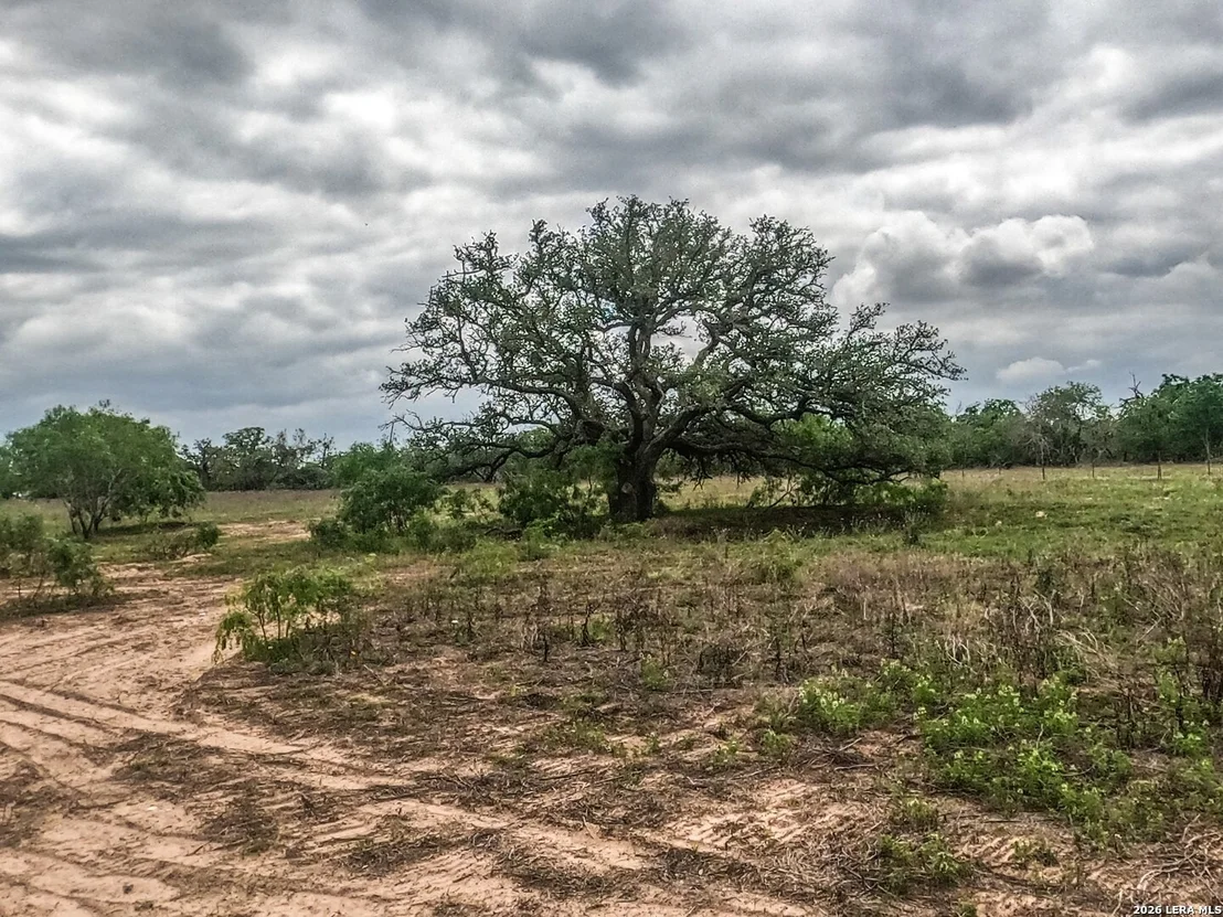 Photo of 8933 County Road 401