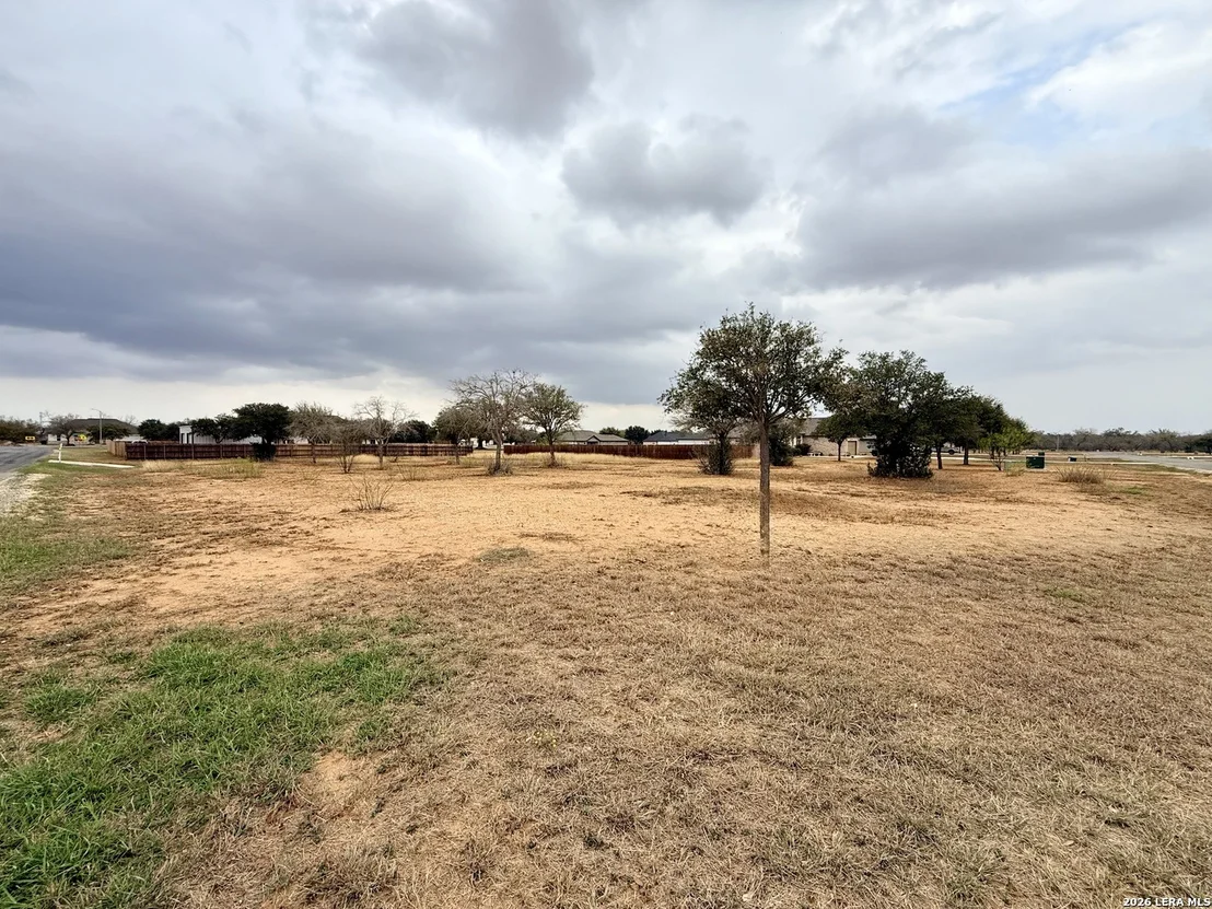 Photo of 160 W Medium Meadow