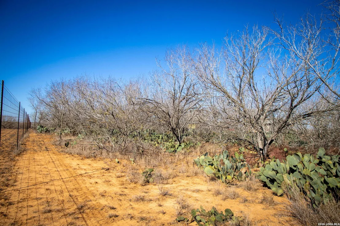 Photo of 320 county road 341