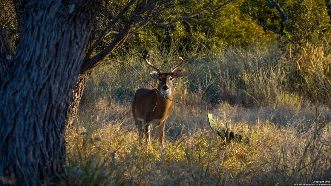 Photo of 7702 ranch road 965