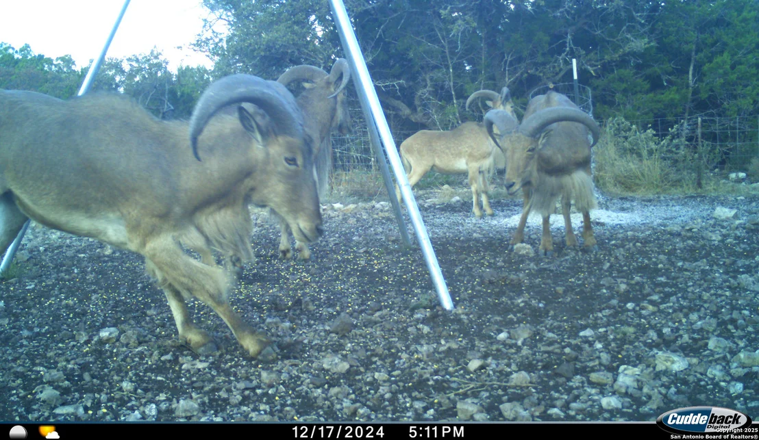 Photo of TBD Mailtrail Rd