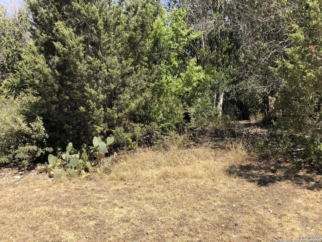 Photo of 4200 BELL LN