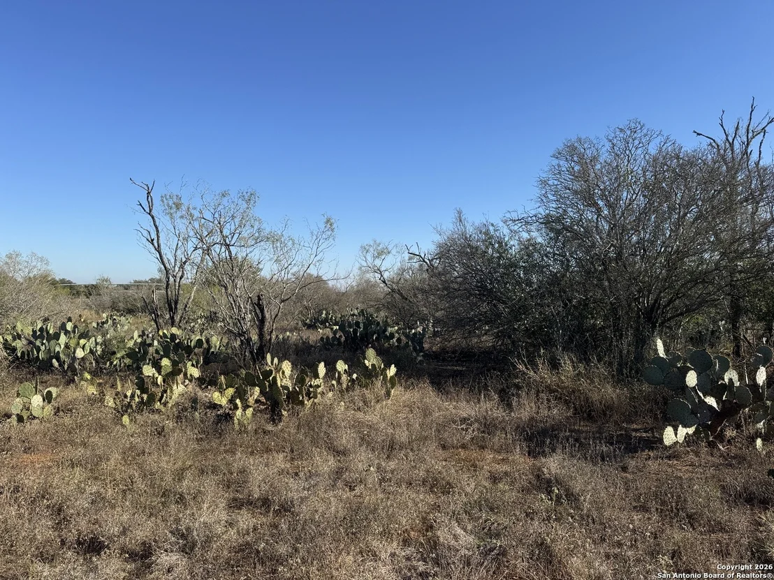 Photo of 449 Rodriguez Acres PR