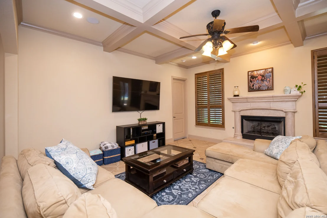 Photo of 25603 Santolina