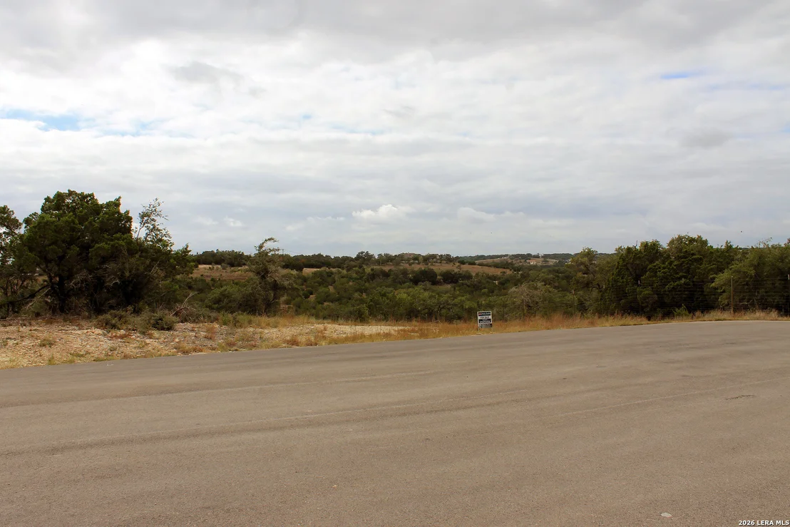 Photo of 291 Stargrass