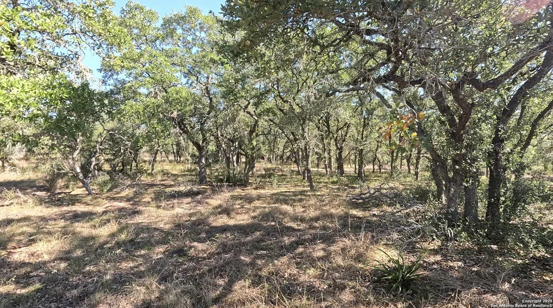 Photo of 34672 Ansley Ridge