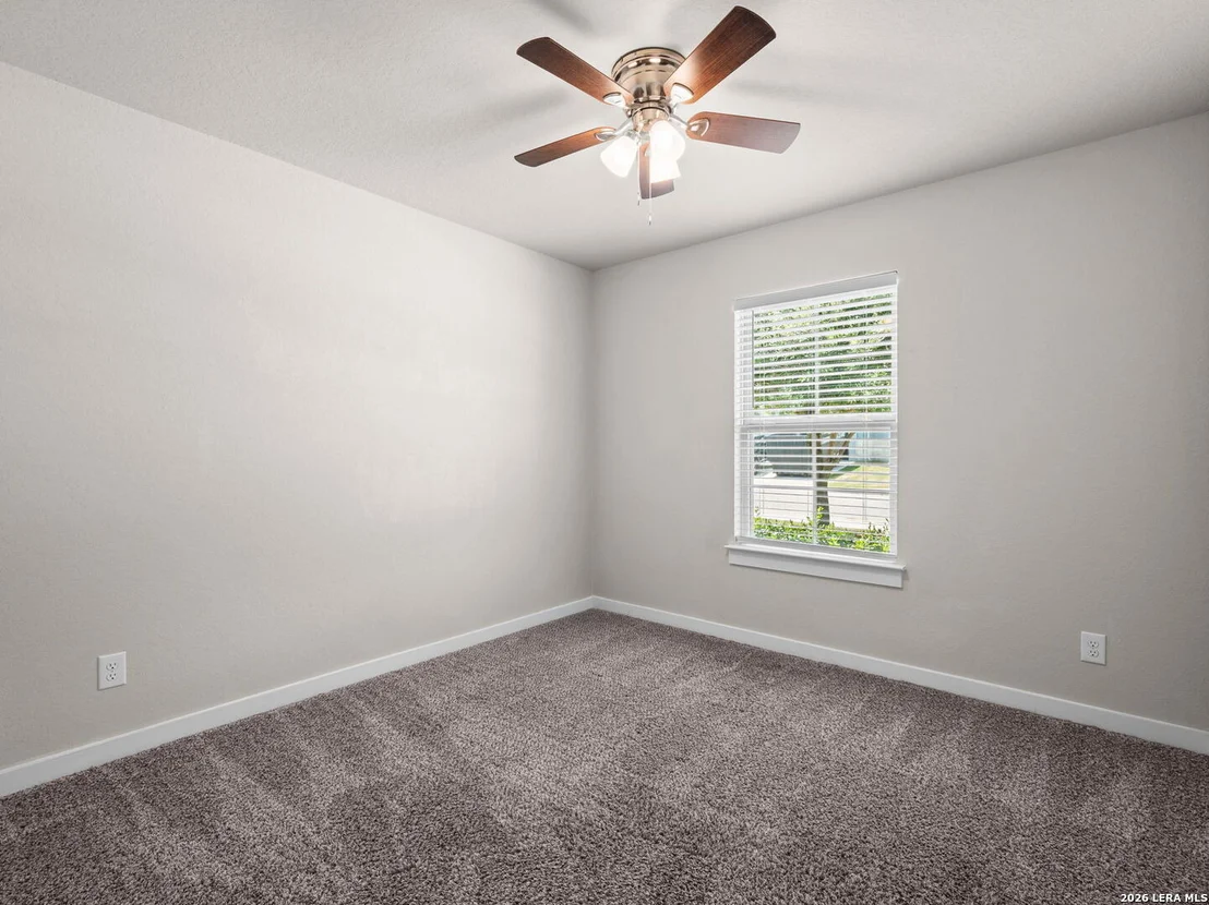 Photo of 3232 Field Thistle