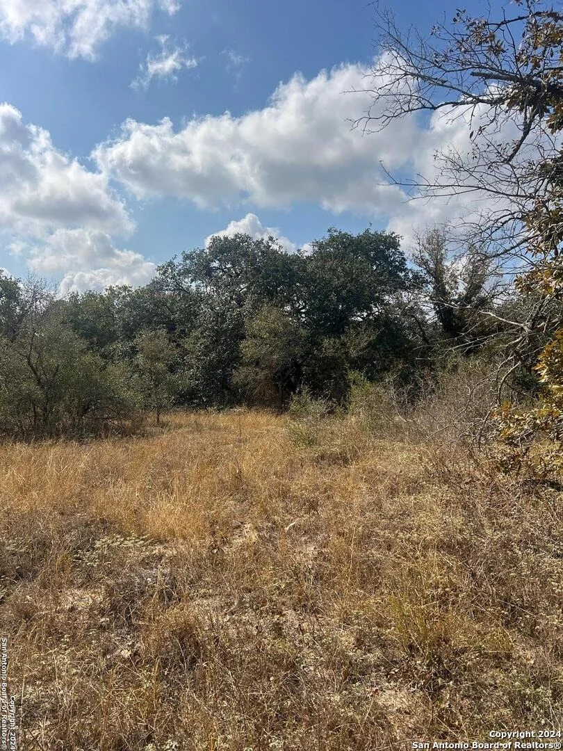 Photo of 1155 Clear lake loop