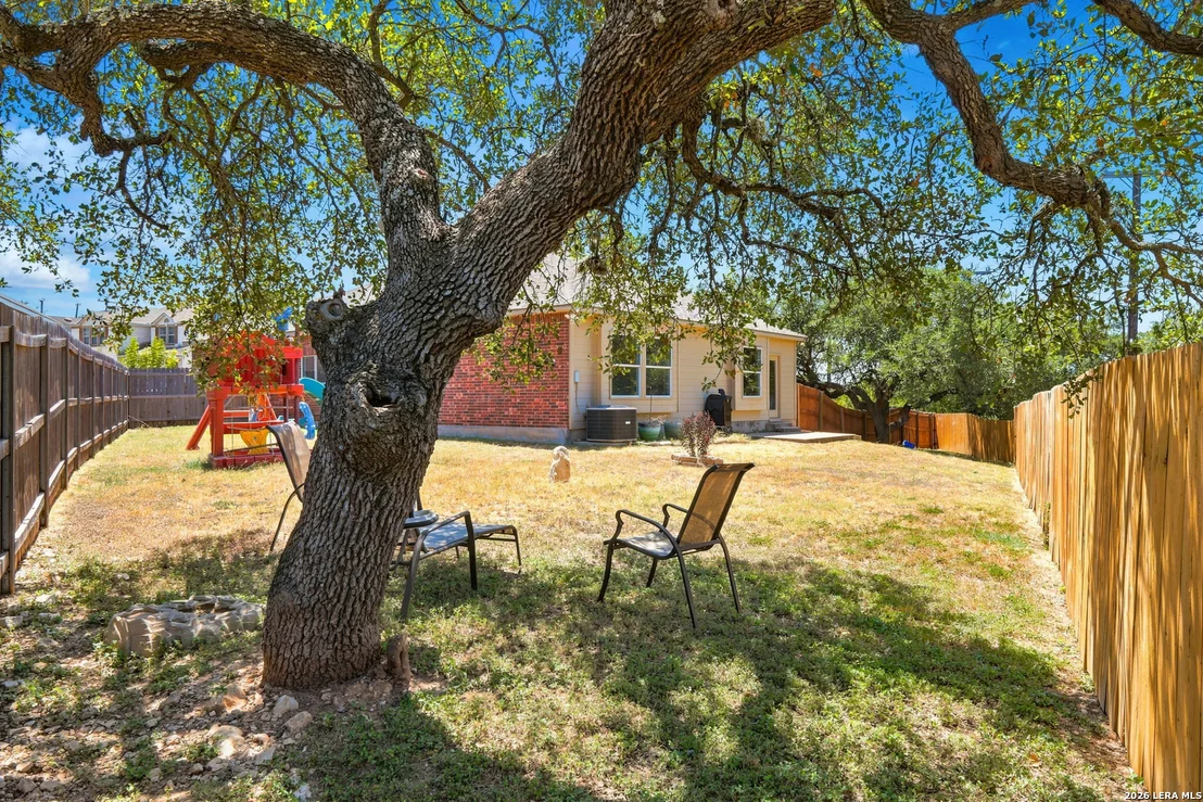 Photo of 25022 Ashe Juniper