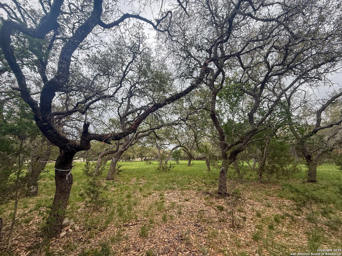 Photo of 23407 Osceola Bluff