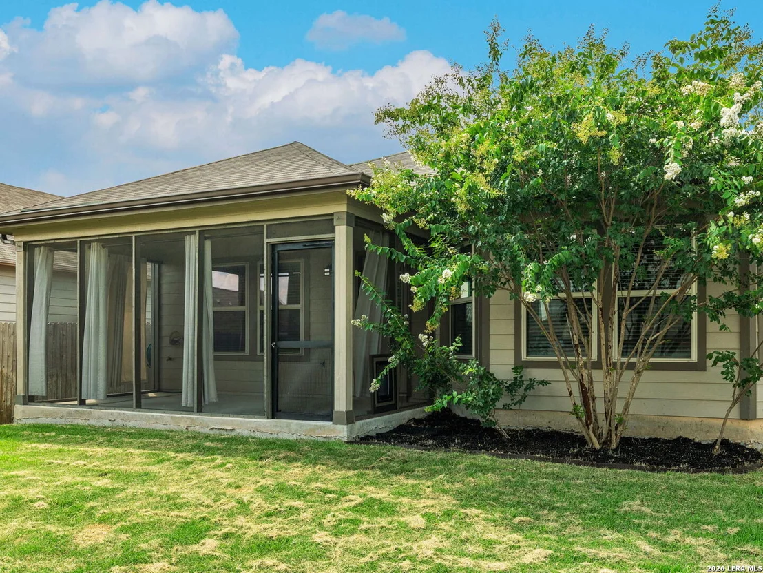 Photo of 3232 Field Thistle