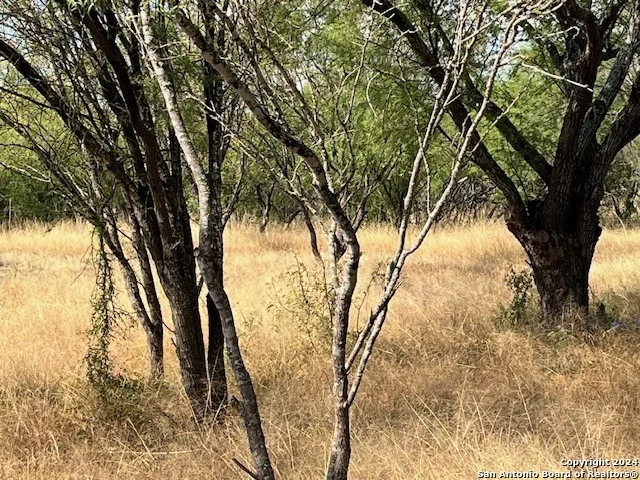 Photo of LOT 94 Pr 2320