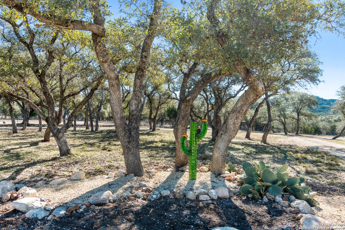 Photo of 381 Camino Primero