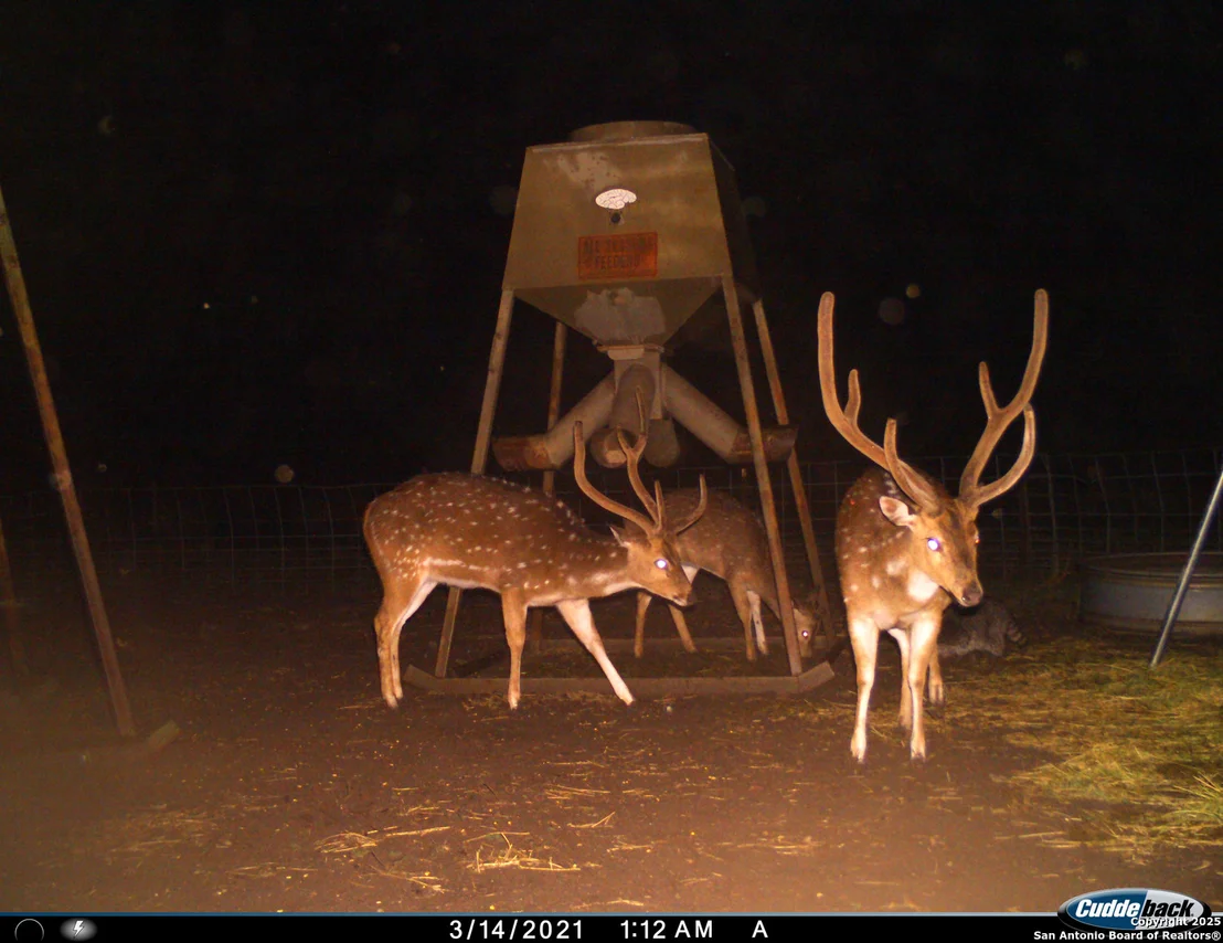 Photo of TBD Mailtrail Rd