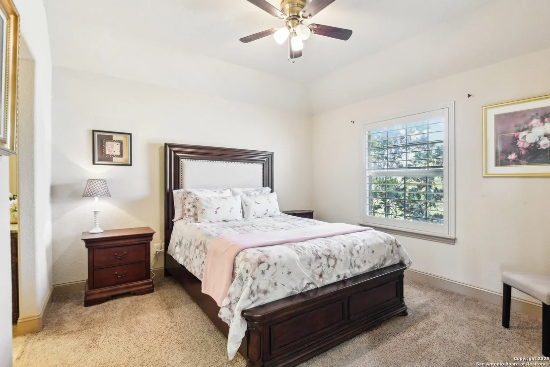 Photo of 25612 Santolina