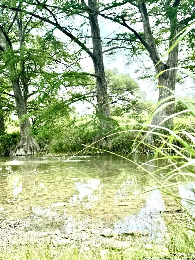 Photo of 29 LONESOME DOVE