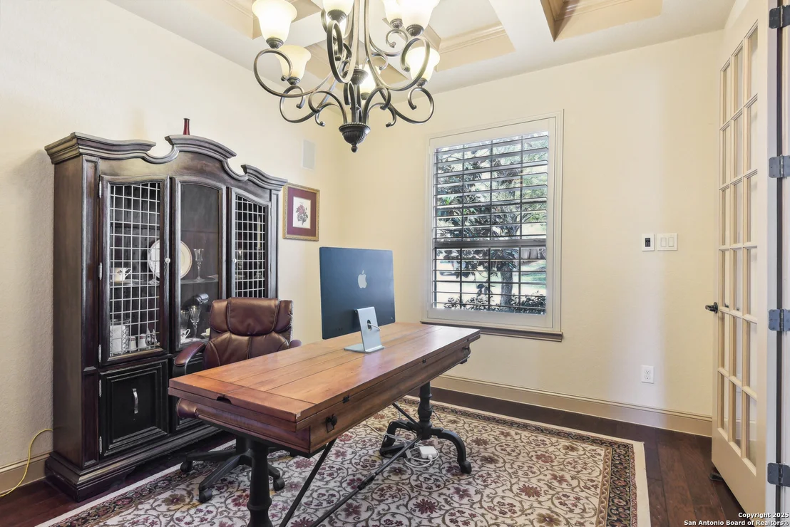 Photo of 25612 Santolina