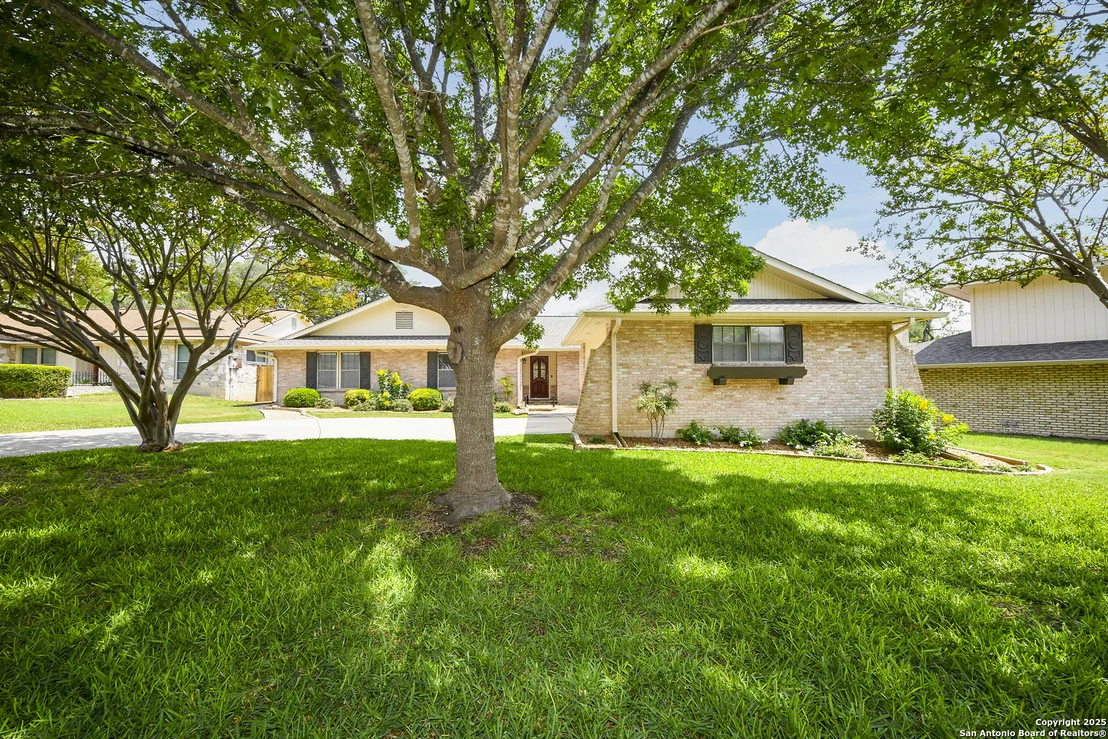 Photo of 1415 Synandra