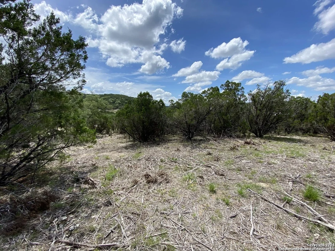 Photo of 391 PR 1748 Lot 391