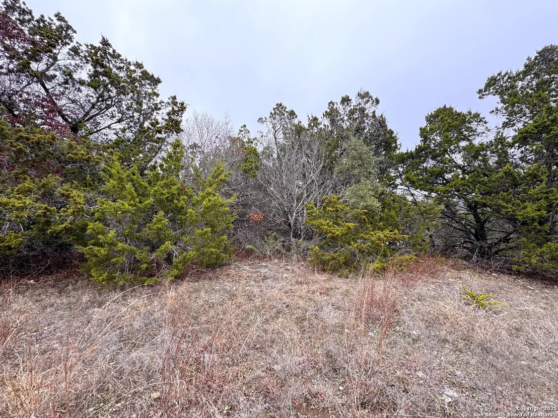 Photo of 1021 Cliff
