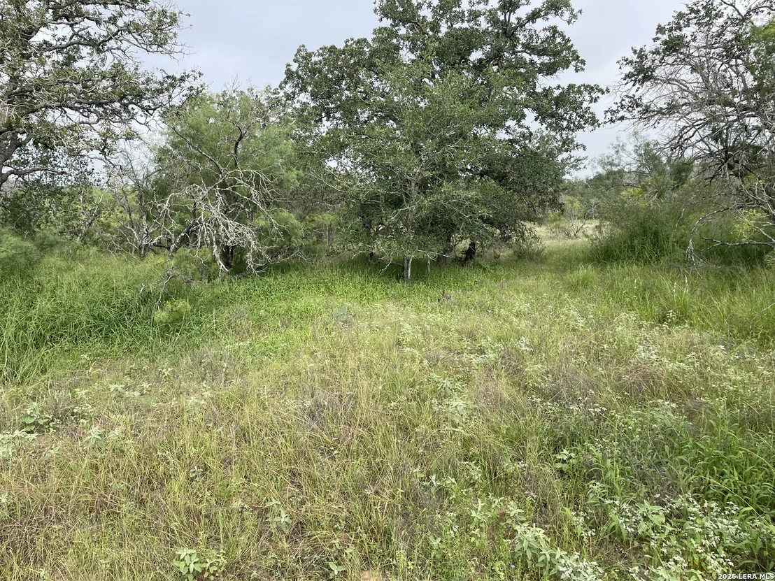 Photo of TRACT#8 12.31A County Road 777