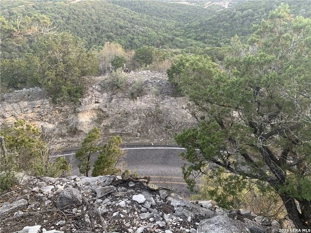 Photo of 20 Winchester