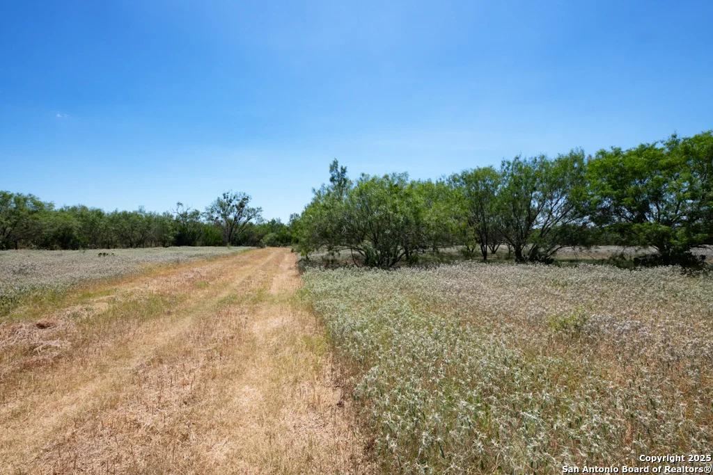 Photo of 19217 Applewhite