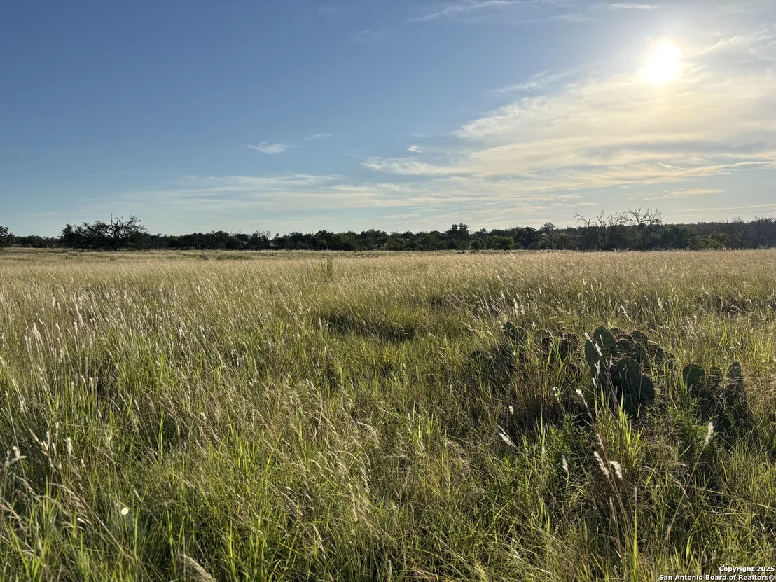 Photo of 183 Lipan Loop