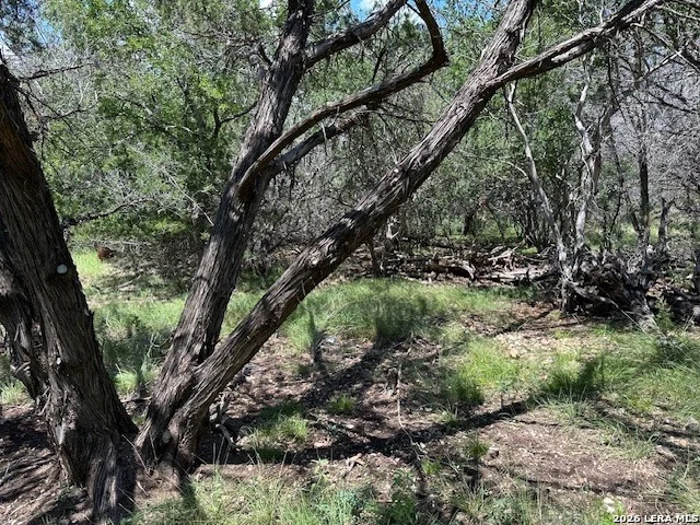 Photo of 533 SQUIRREL BND