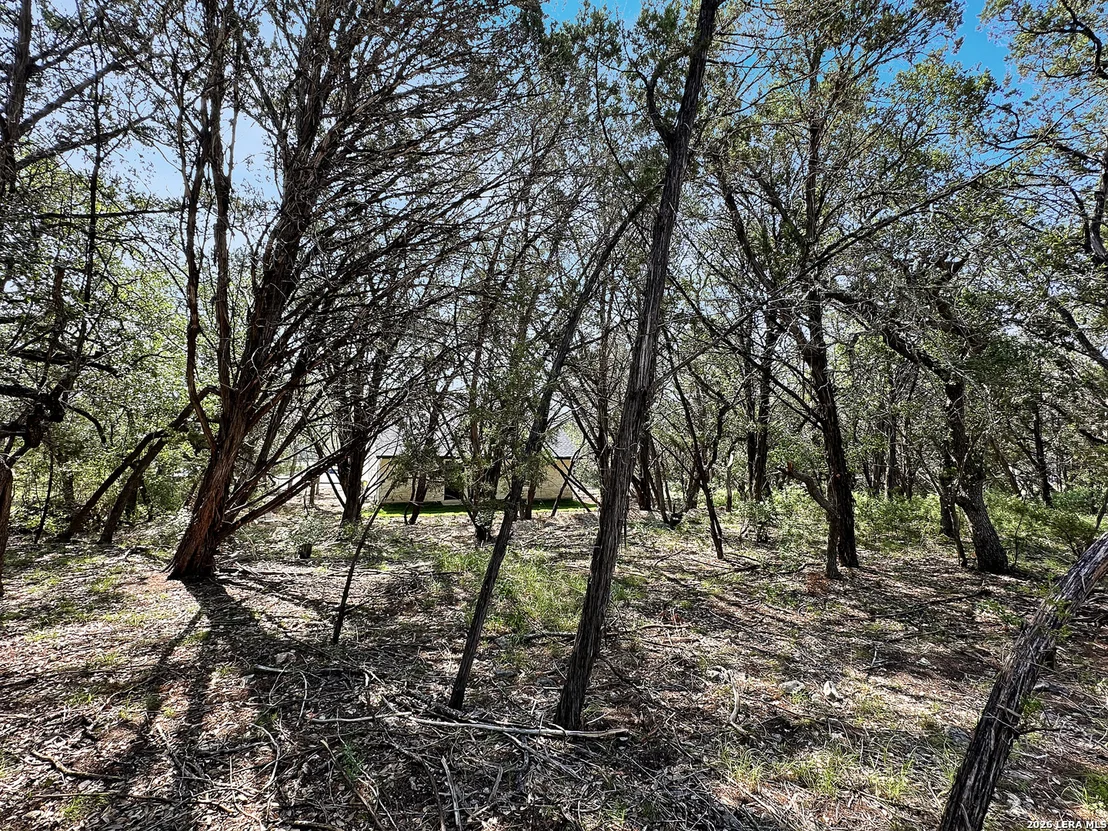 Photo of 197 SPRING MOUNTAIN DR