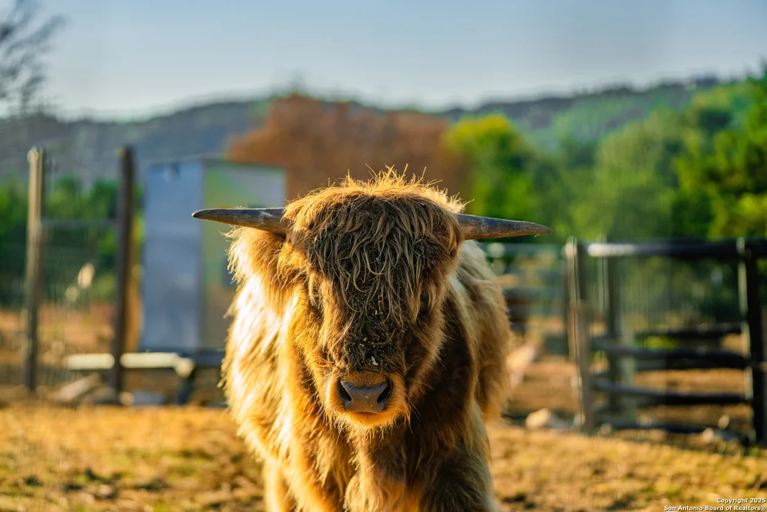 Photo of 309 Walnut