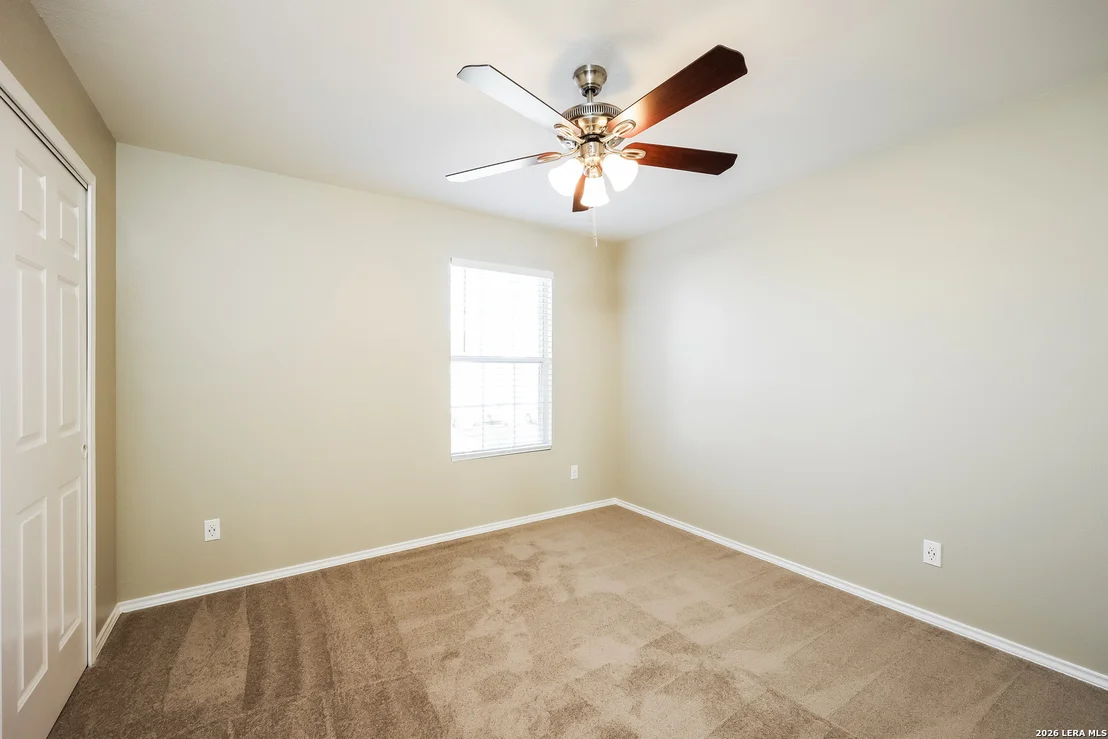 Photo of 122 Blue Juniper
