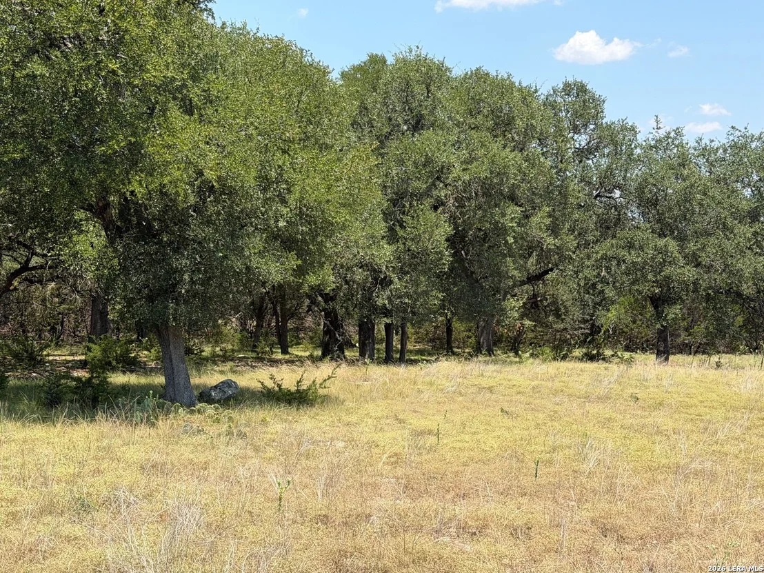 Photo of 207 Rio Cordillera