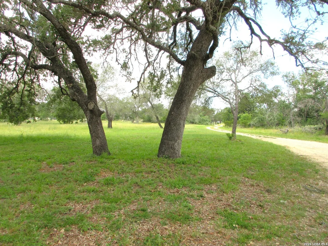 Photo of 204 County Road 7725