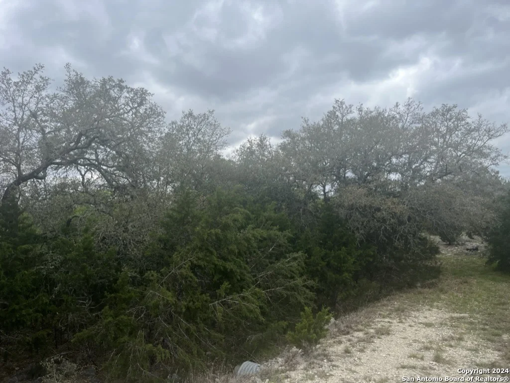 Photo of 192 MACAW LN