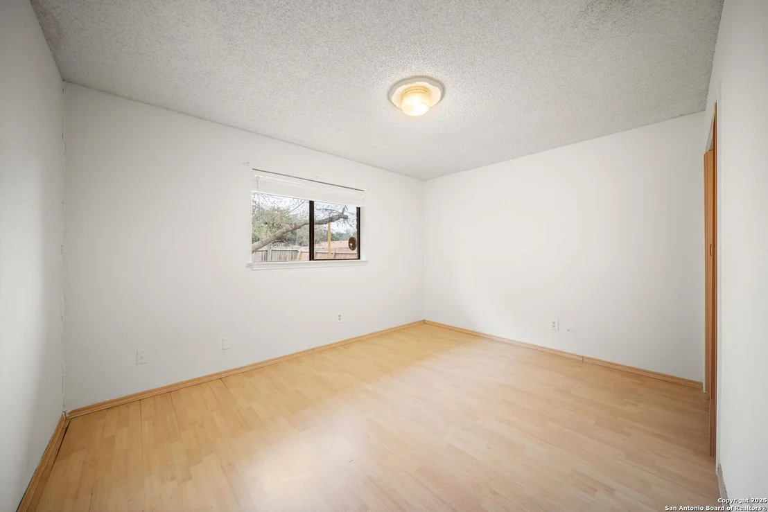 Photo of 1606 forest spring