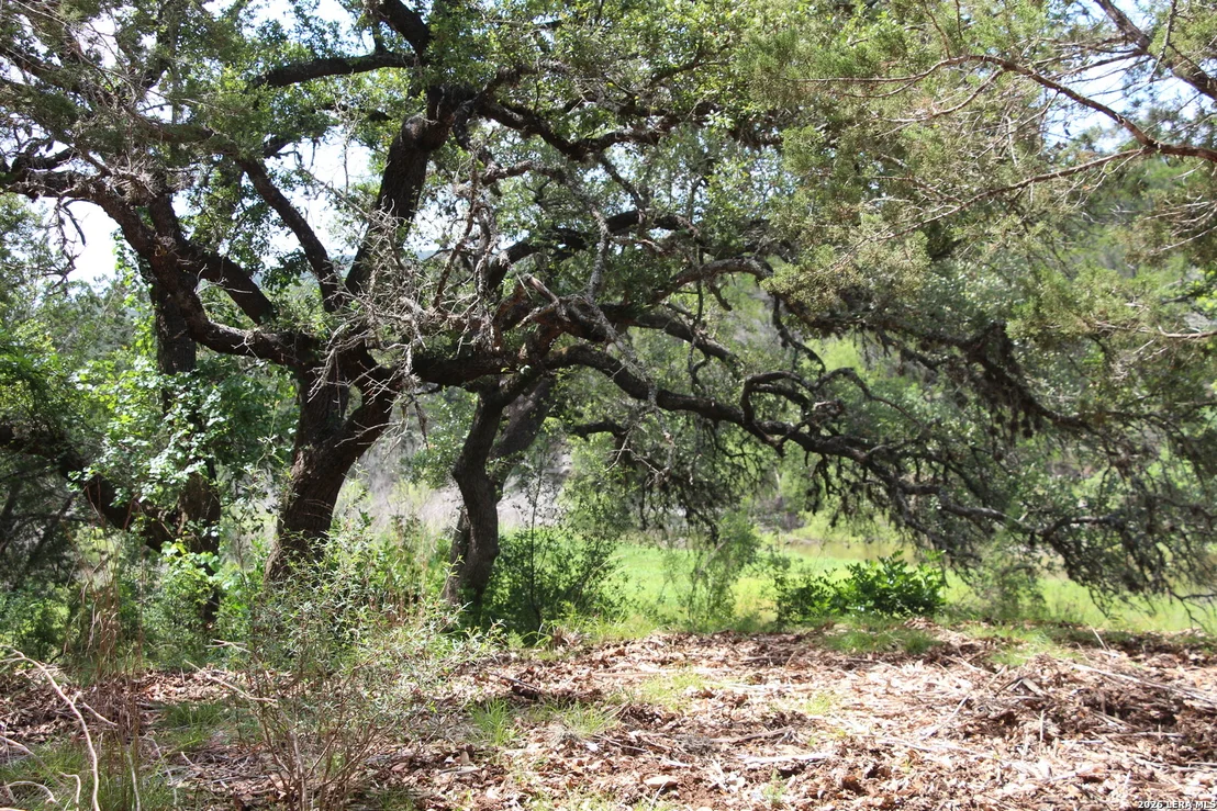 Photo of LOT 52 Clear Water Cyn