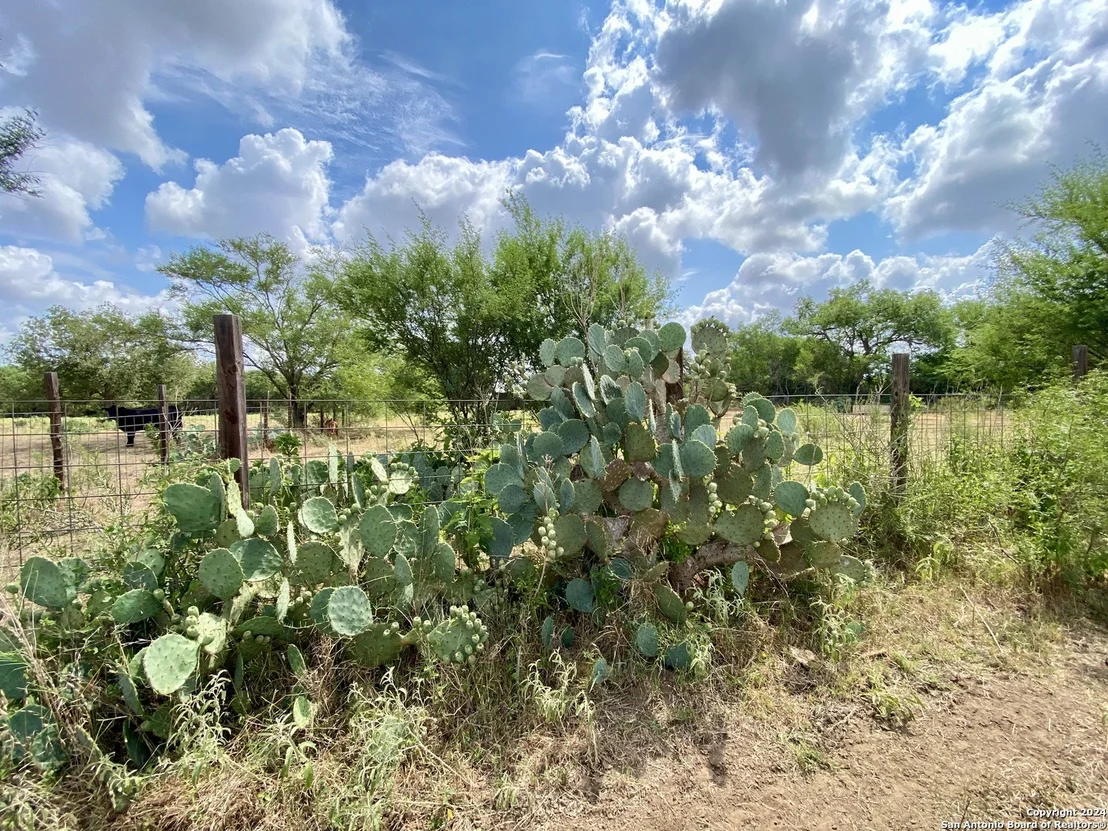 Photo of 2176 County Road 221