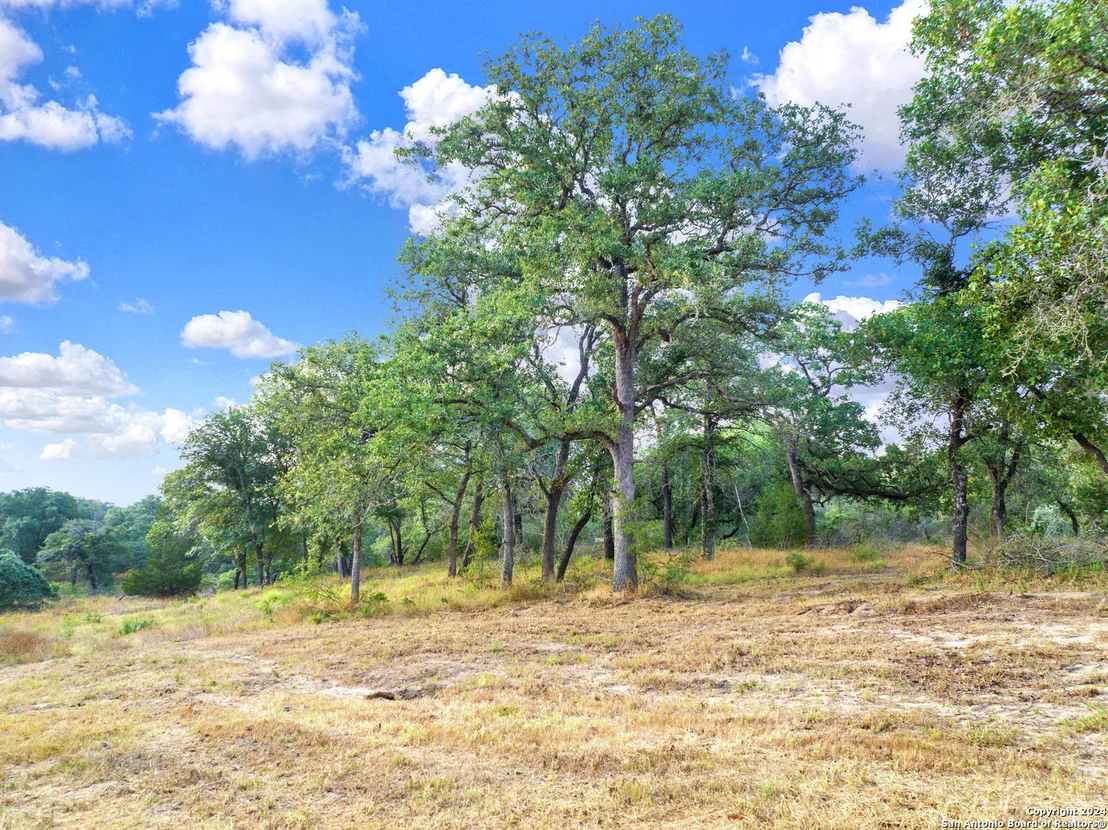 Photo of 250 TIMBER PL