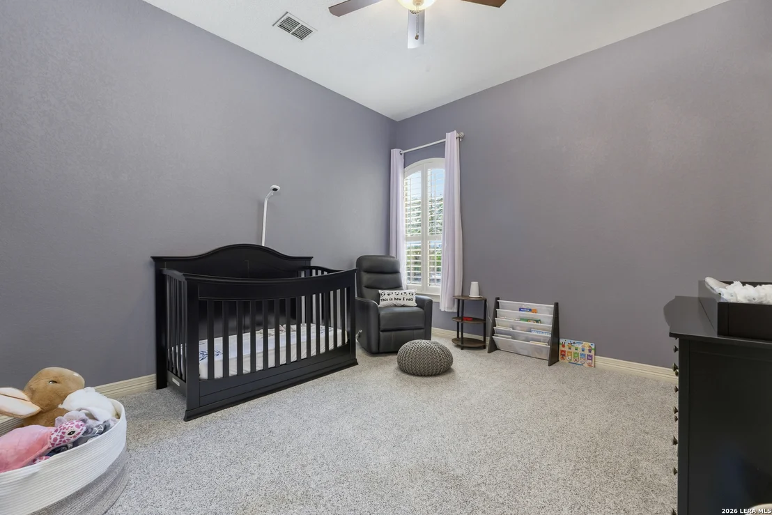 Photo of 25310 Wild Sage