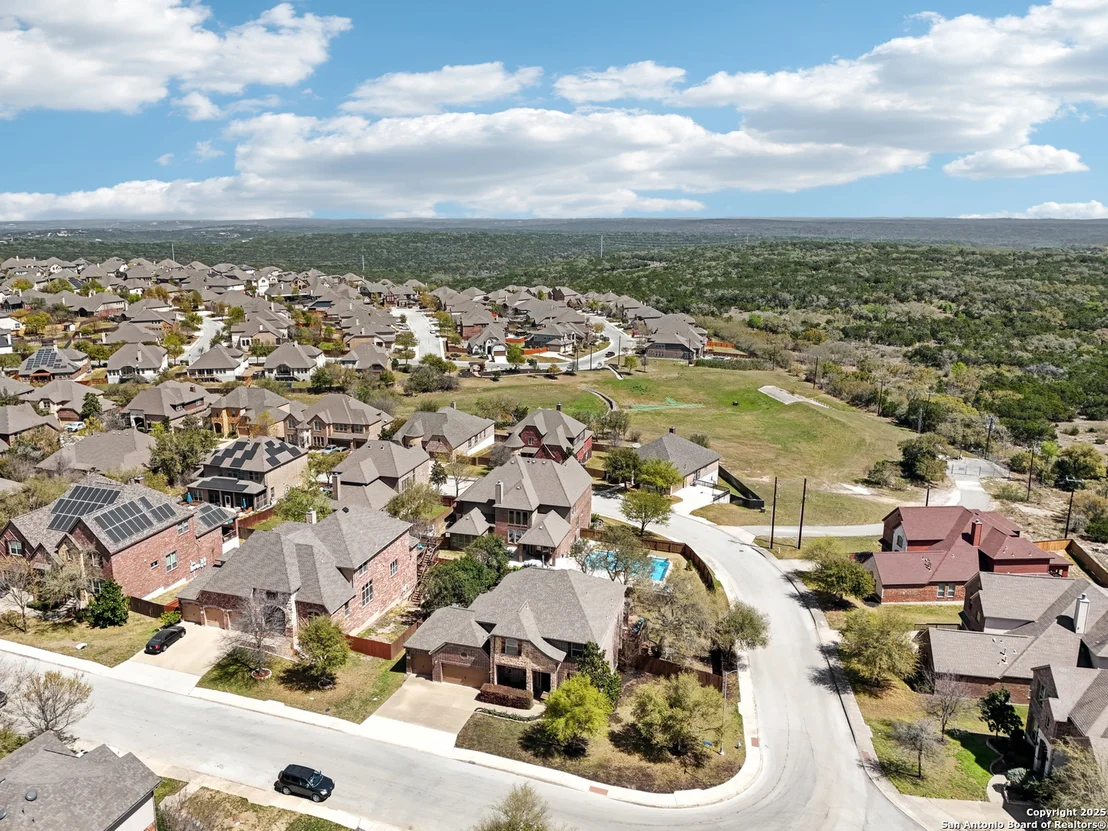 Photo of 25612 Santolina